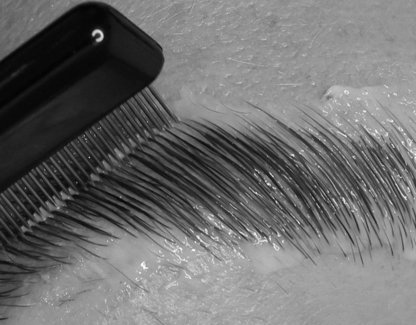 Snap Beauty Brow lamination kit